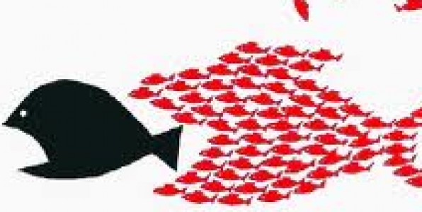 Ο τάφος του χρυσόψαρου